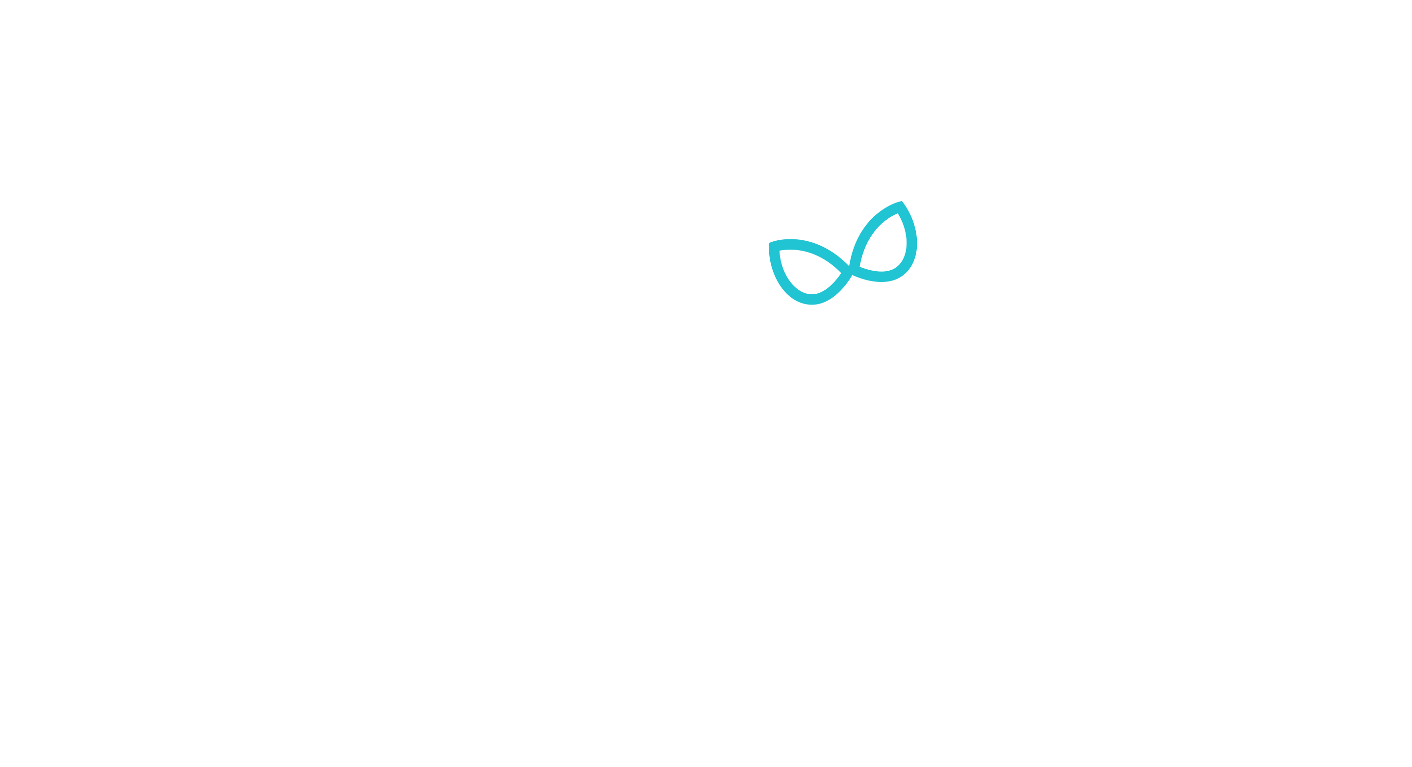 Maio Biquini Logo